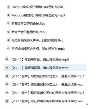 芝恩正ASMR御姐音声合集:沉浸式舔耳弹舌/人声助眠作品全收录【6A】