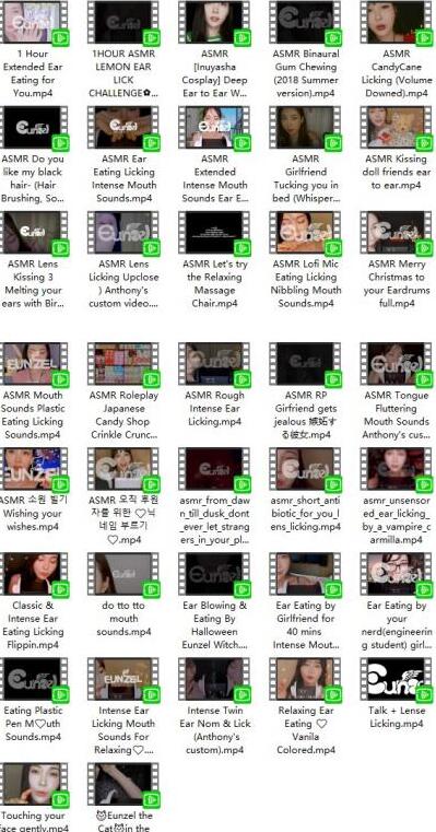 Eunzel ASMR人气助眠女神37部付费音声合集 | 耳语诊疗室系列全收录 [8.64GB]