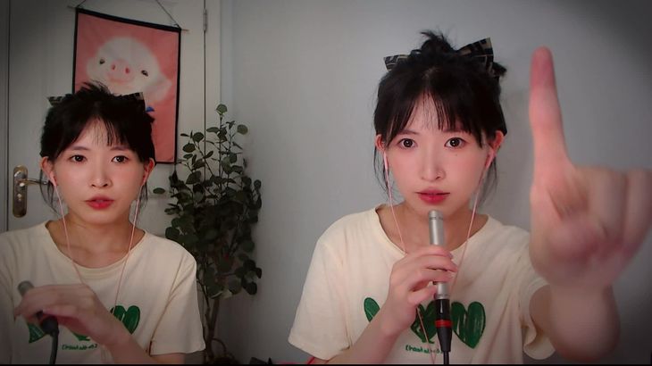 [芝麻对辣]助眠哄睡减压ASMR 17