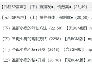 露珀塔Rupeta元旦ASMR音声6A:治愈系女神跨年耳语盛宴【6A/320kbps/45min】